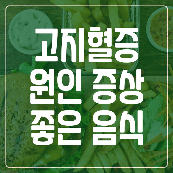 고지혈증 원인 및 증상 음식 알아보기