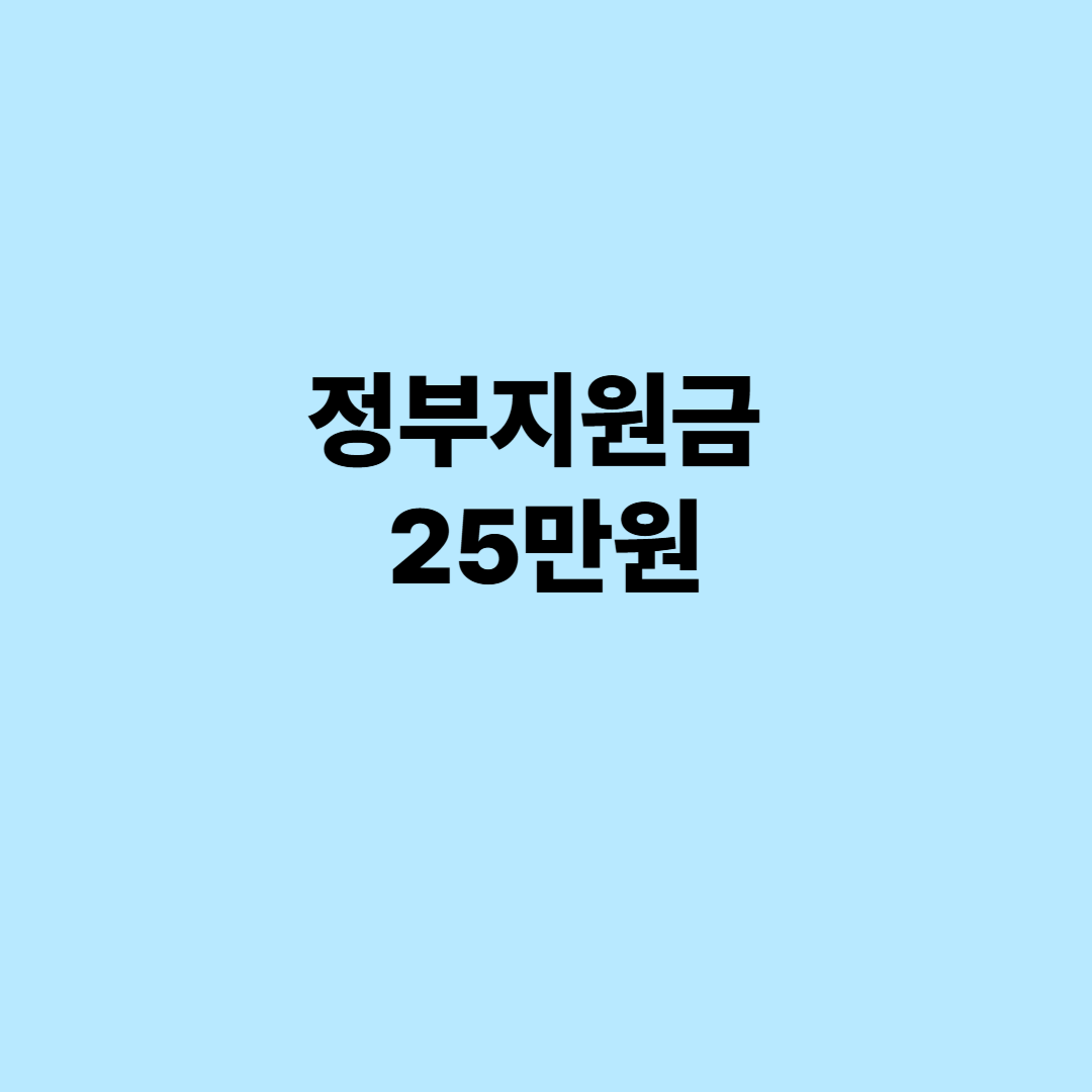 정부지원금 25만원