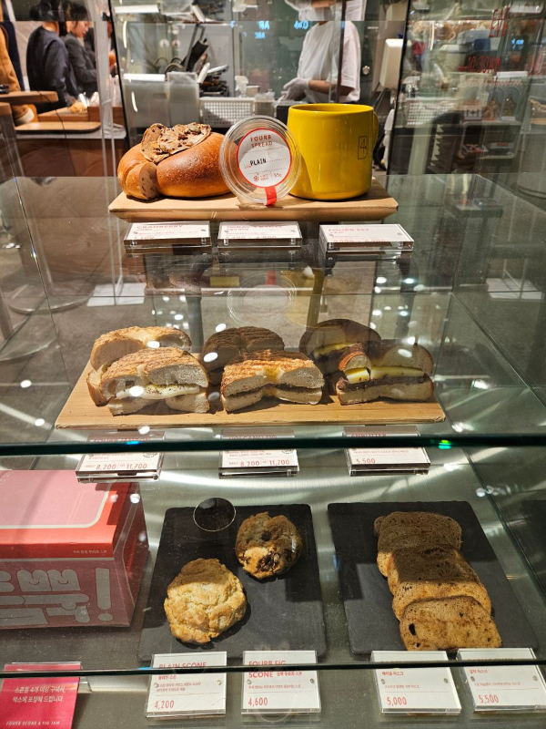 포비 오늘의 베이글