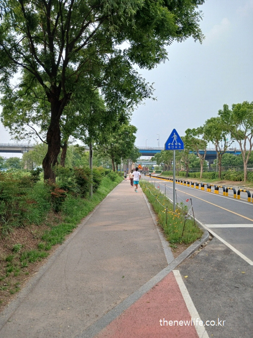 Jogging along a flower-lined urban road &ndash; small scenery, big comfort-도심 속 꽃길을 따라 조깅하는 모습 &ndash; &nbsp;스트레스 완화, 정신적인 안정 이미지