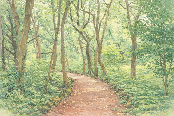 제주도_동쪽_놀거리_정리_초보도_실패 없는_성산_구좌_가볼만한 곳_비자림