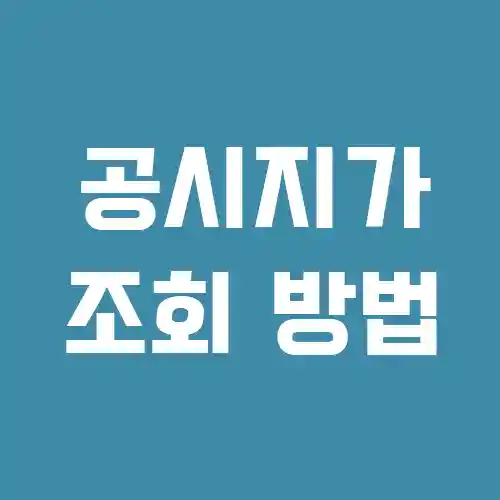 국토부 공시지가 조회