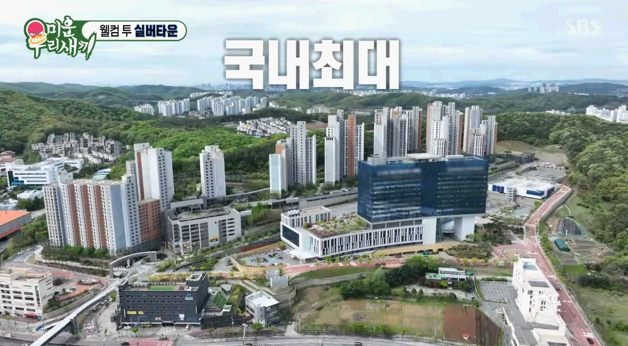 용인스프링카운티자이 실버타운/ 미운 우리새끼