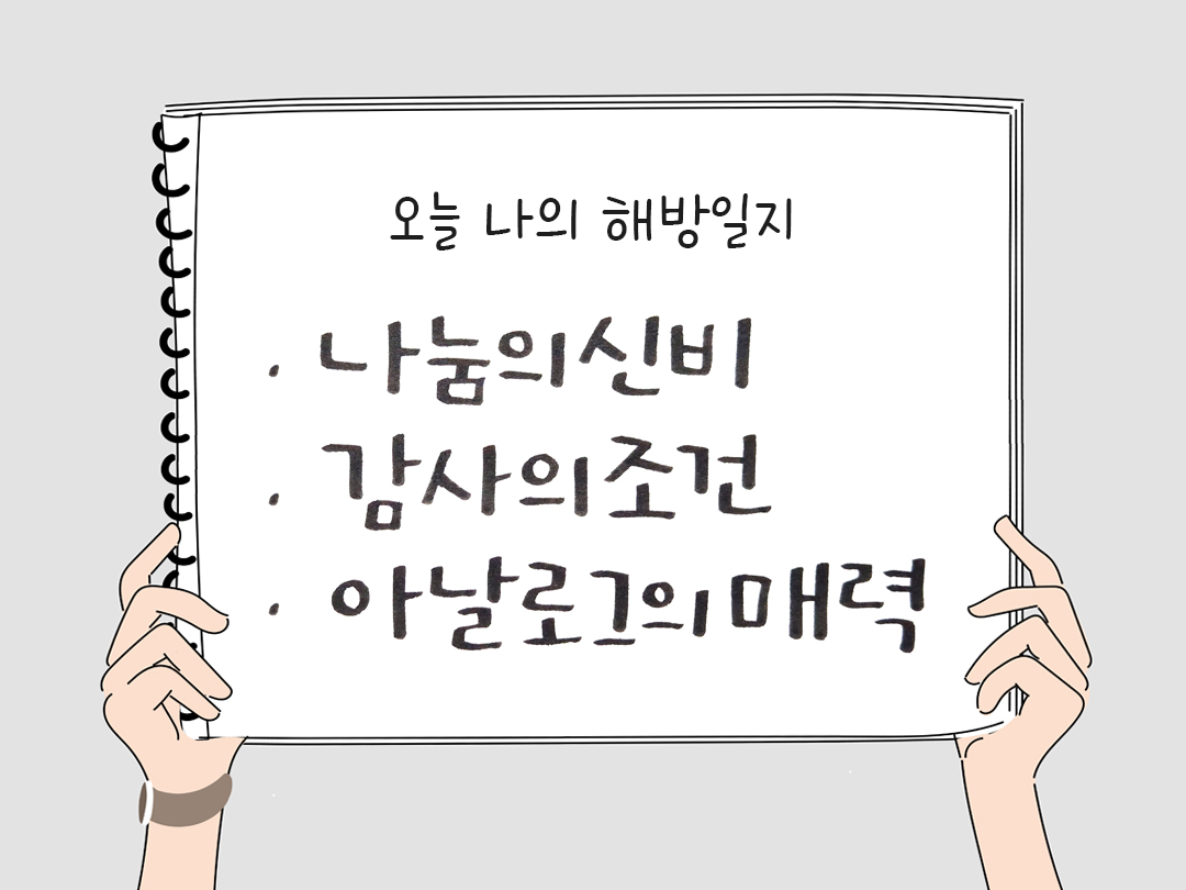 오늘 나의 해방일지 : 감사를 통해 발견한 행복 오늘 감사한 순간들