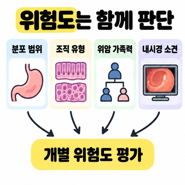분포 범위, 조직 유형, 위암 가족력, 내시경 소견의 네 그림에서 개별 위험도 평가로 화살표가 모인다.
