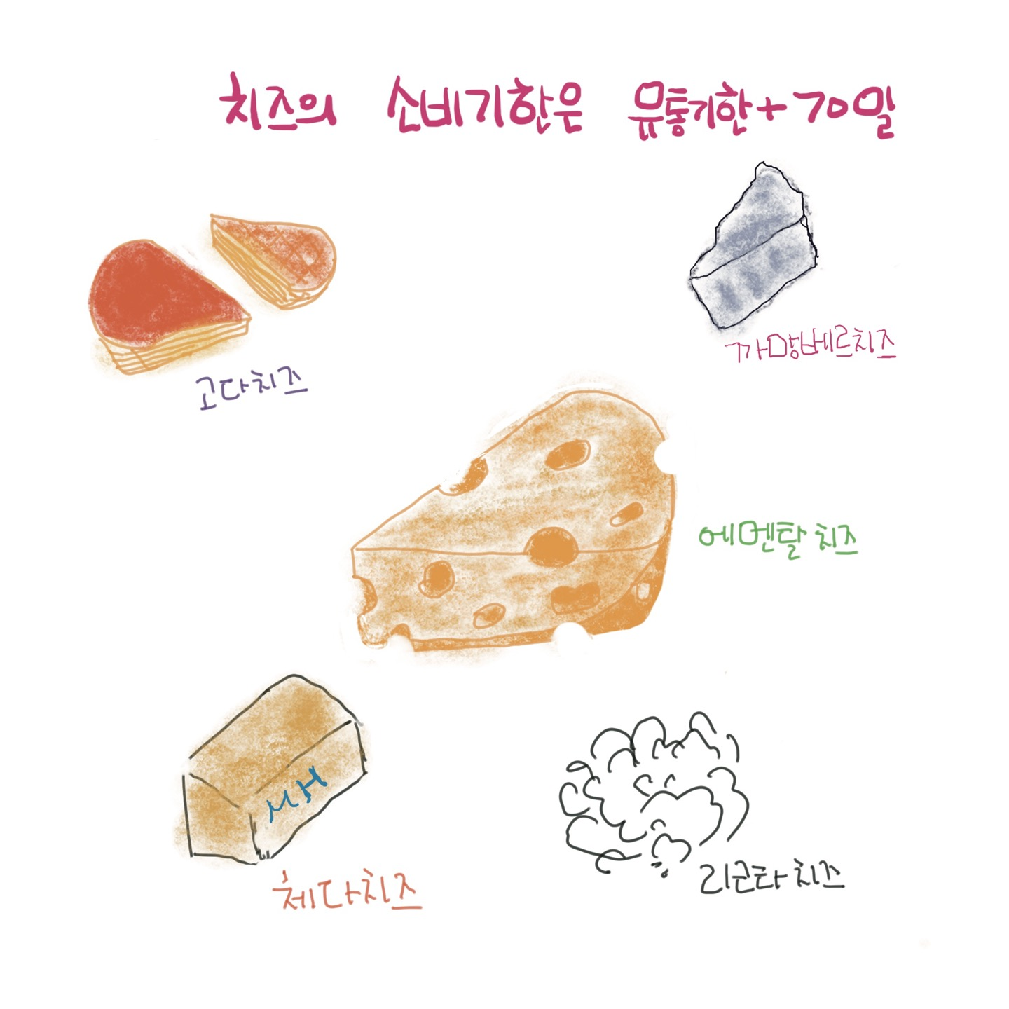 다양한 치즈 그림