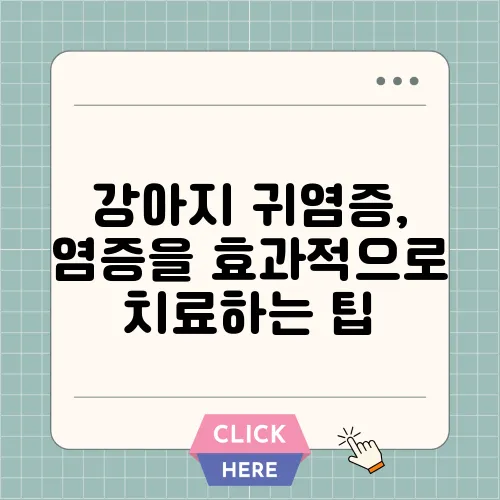 강아지 귀염증, 염증을 효과적으로 치료하는 팁