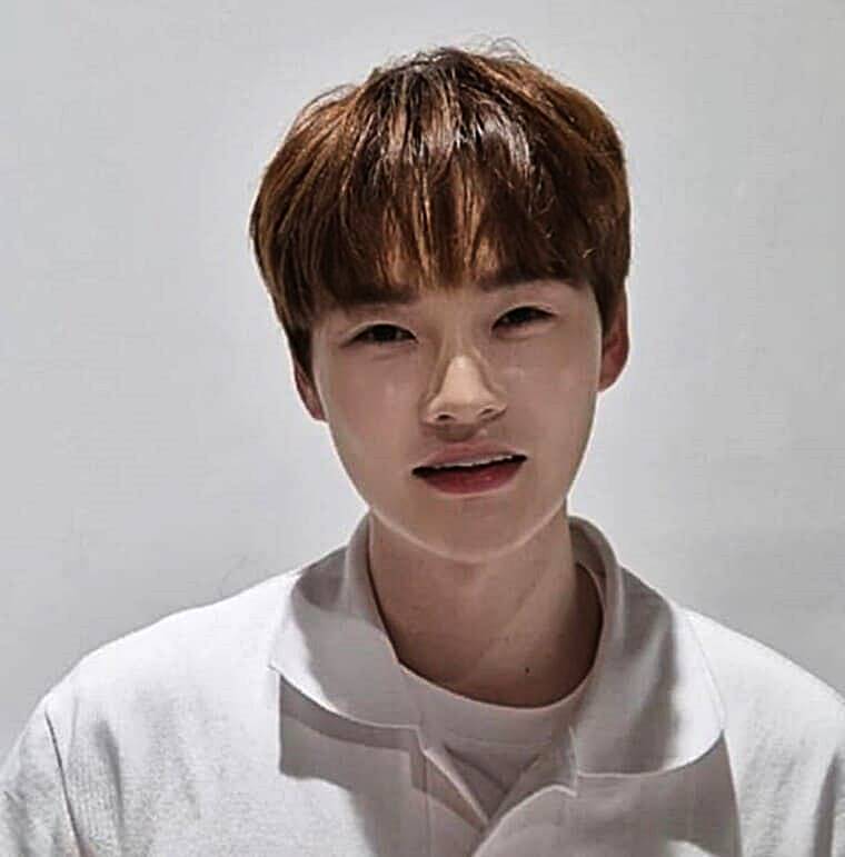 가수-박서진