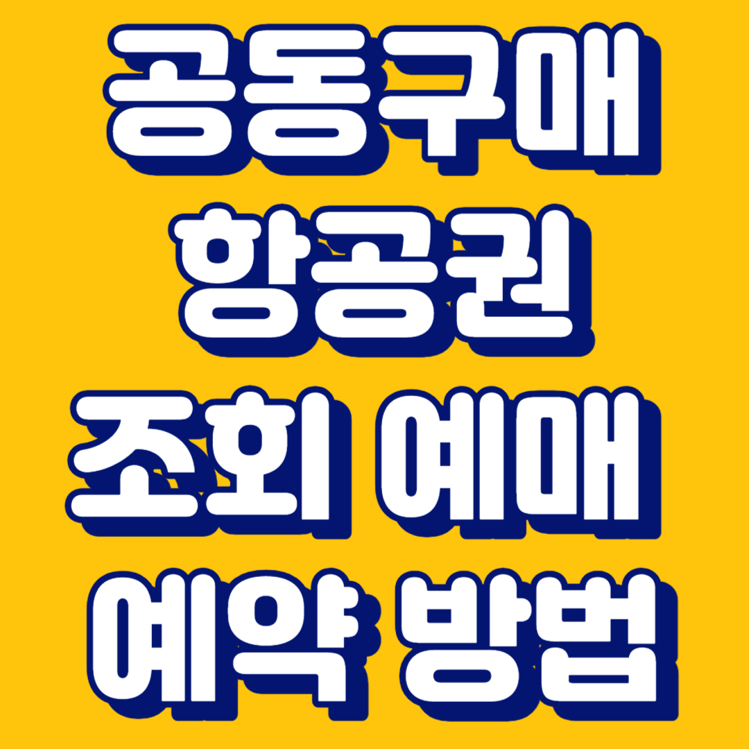 공동구매 항공권 조회 예매 예약 방법