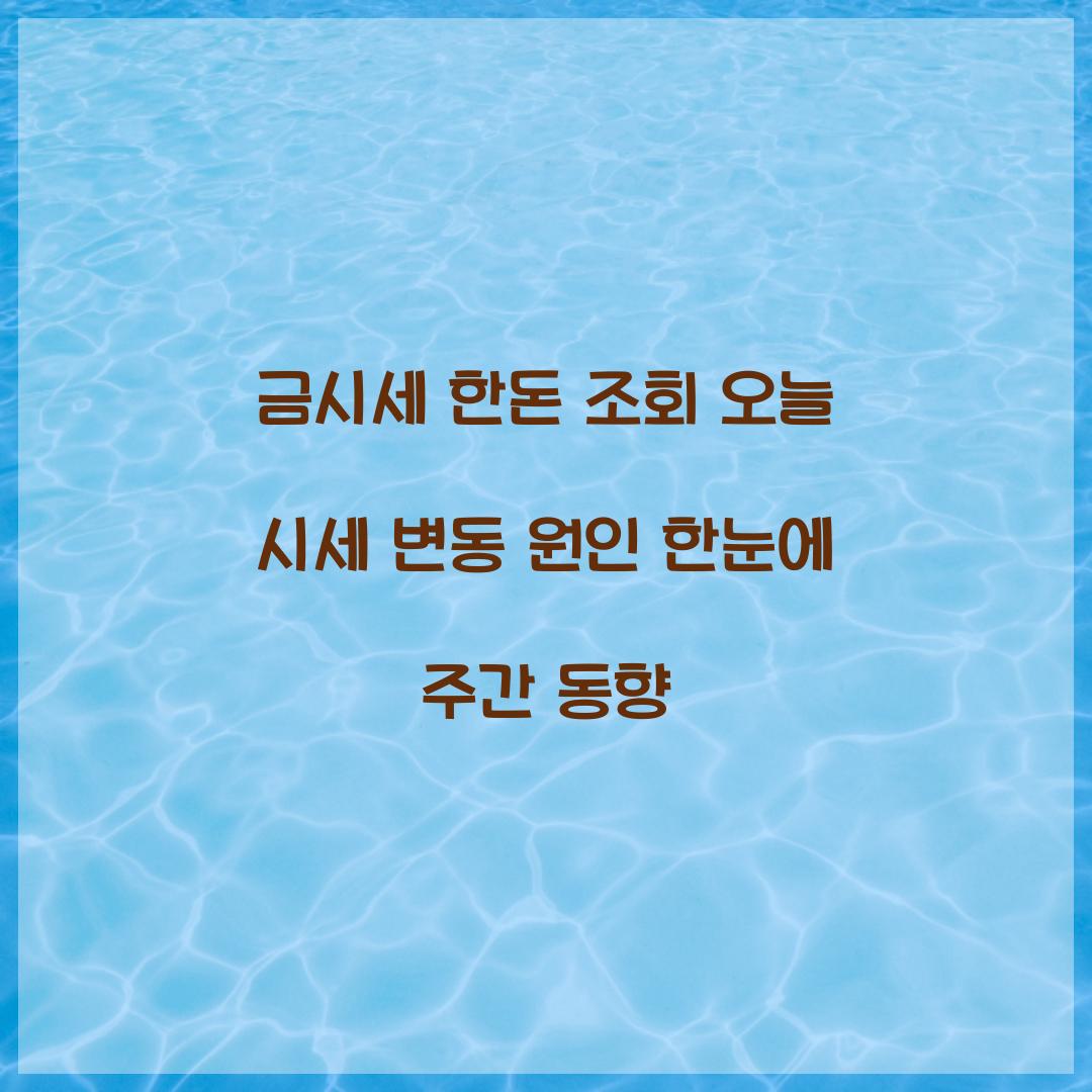 금시세 한돈 조회