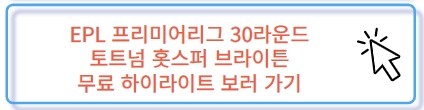 토트넘 브라이튼 리그 30라운드 손흥민 100호골 해리케인 결승골 무료 하이라이트 보러 가기