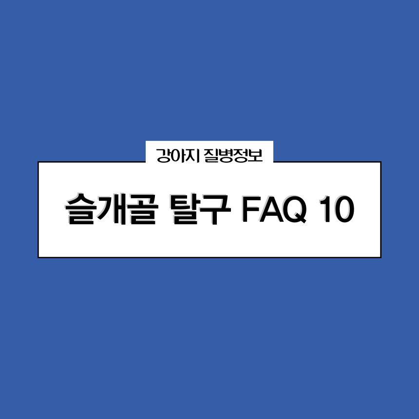 슬개골 탈구 FAQ10