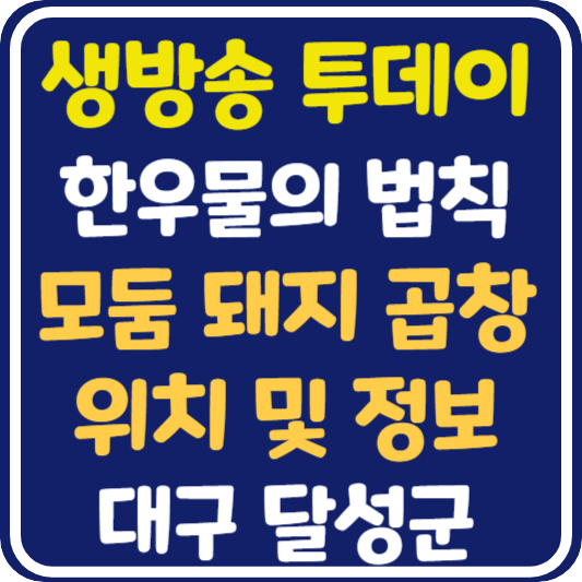 생방송 투데이 대구 돼지곱창 위치 및 정보 : 한우물의 법칙