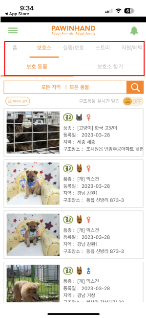 유기견입양사이트