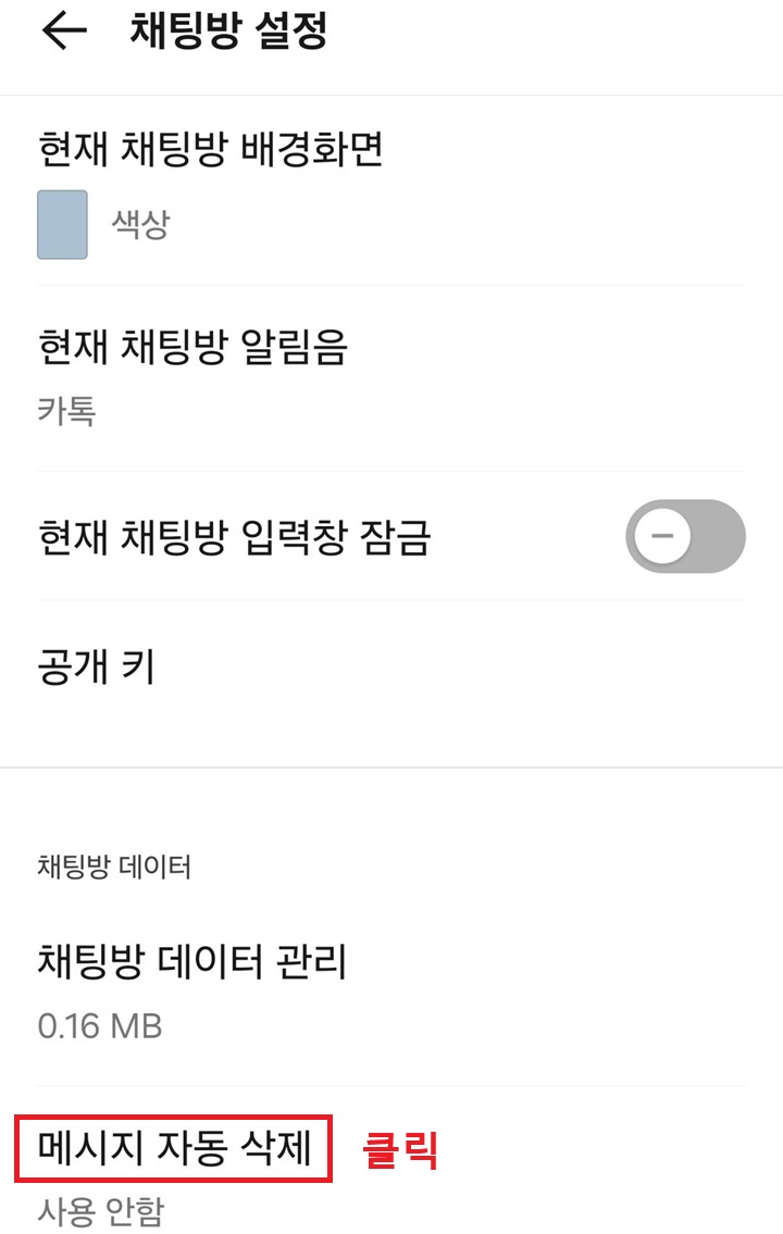 채팅방 설정 페이지 하단에 메시지 자동 삭제 메뉴 보임
