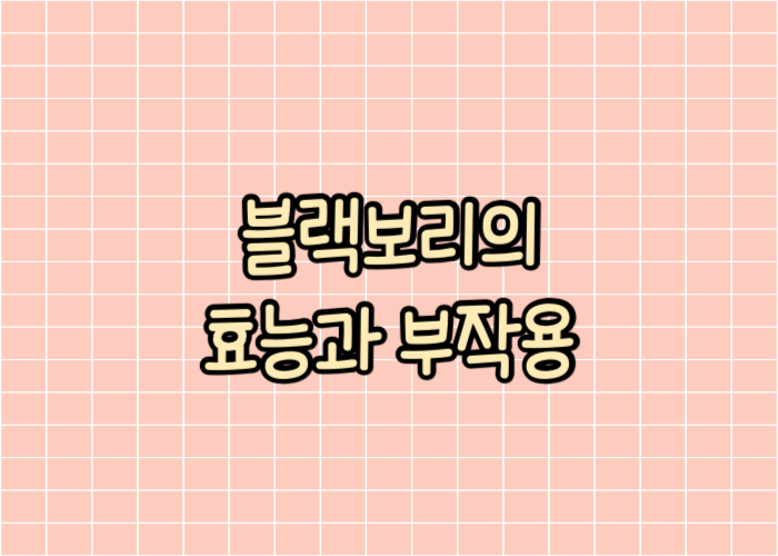 블랙보리의 효능과 부작용 글자이미지