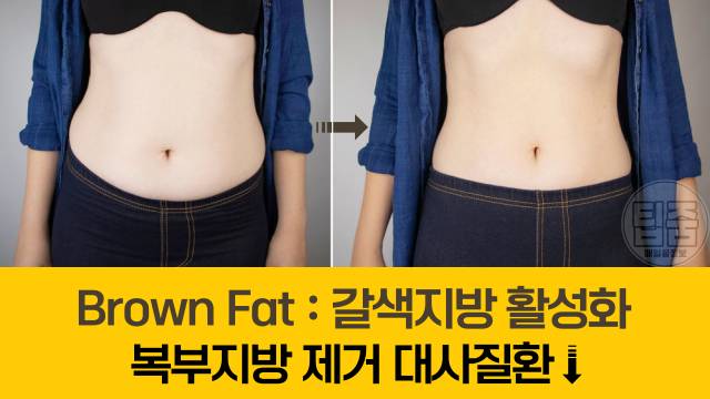 복부지방 빼는법 복부지방 태우는 음식