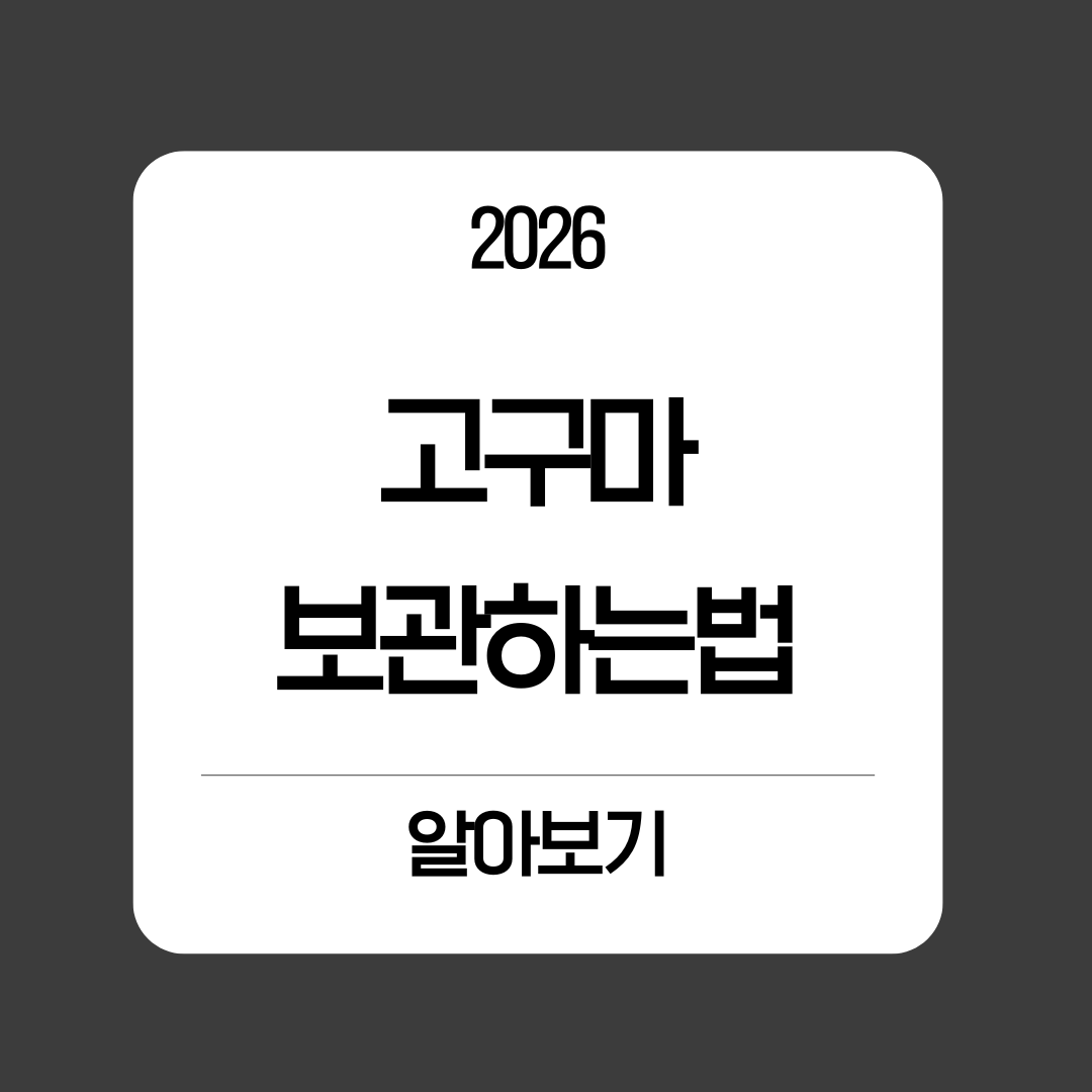 고구마 보관하는법 알아보기