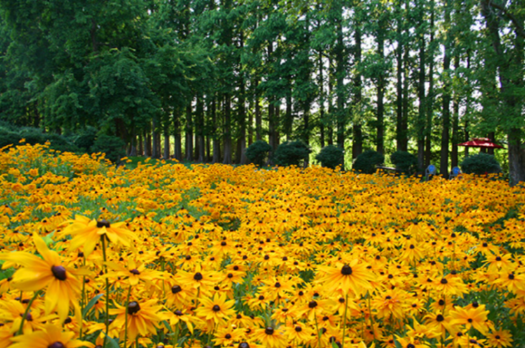 익산 아가페정원