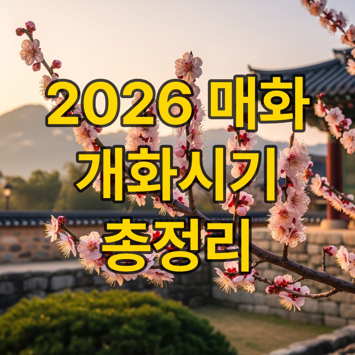 매화꽃 개화시기