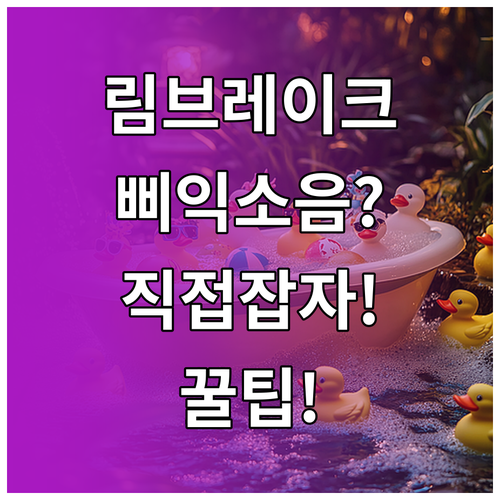 자전거 림 브레이크 삐익 소음 직접 ..