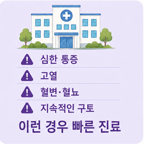 심한 통증&middot;고열&middot;혈변&middot;혈뇨&middot;지속적인 구토가 있을 때 빠른 진료가 필요함을 안내하는 이미지