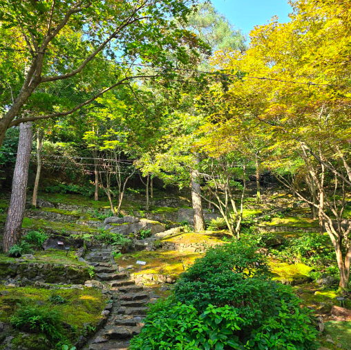 화담숲 예약 팁