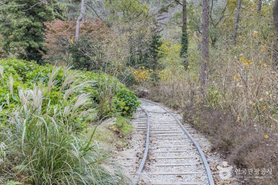 해남 포레스트수목원 입장료 총정리