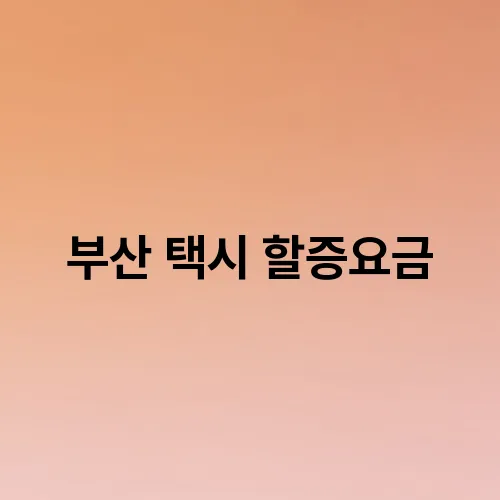 부산 택시 할증요금