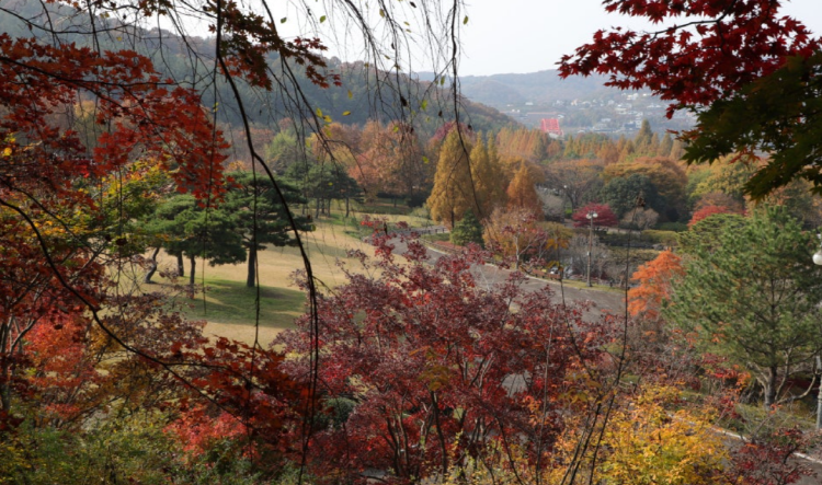 금강수목원