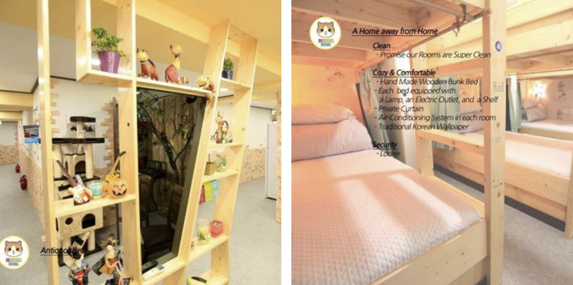 Blossom Guest House
