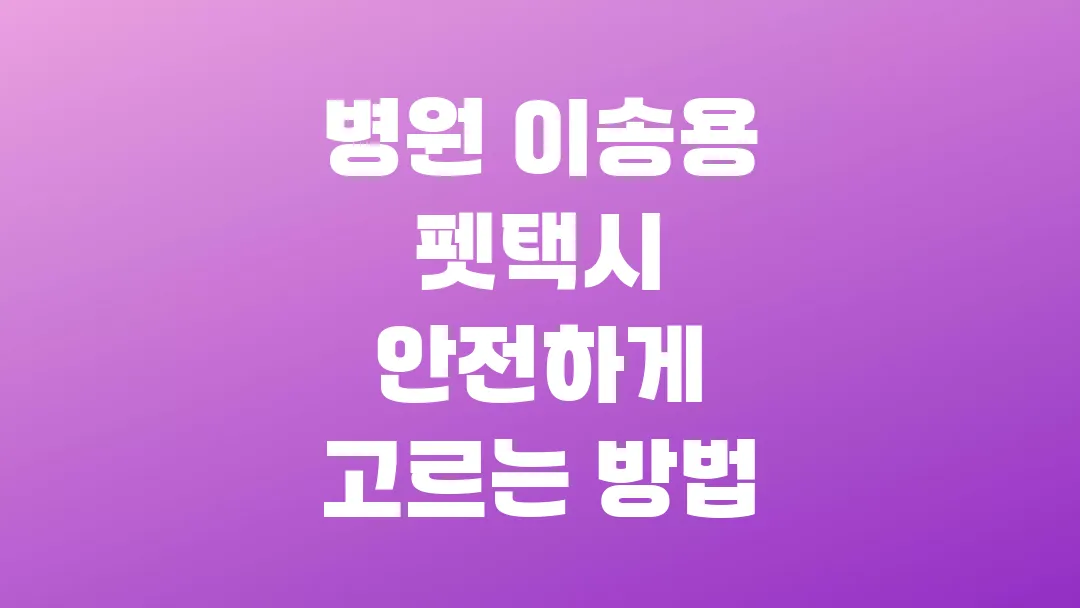 병원 이송용 펫택시 안전하게 고르는 방법