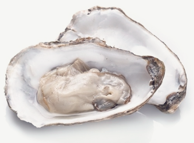 굴 효능과 먹는 법