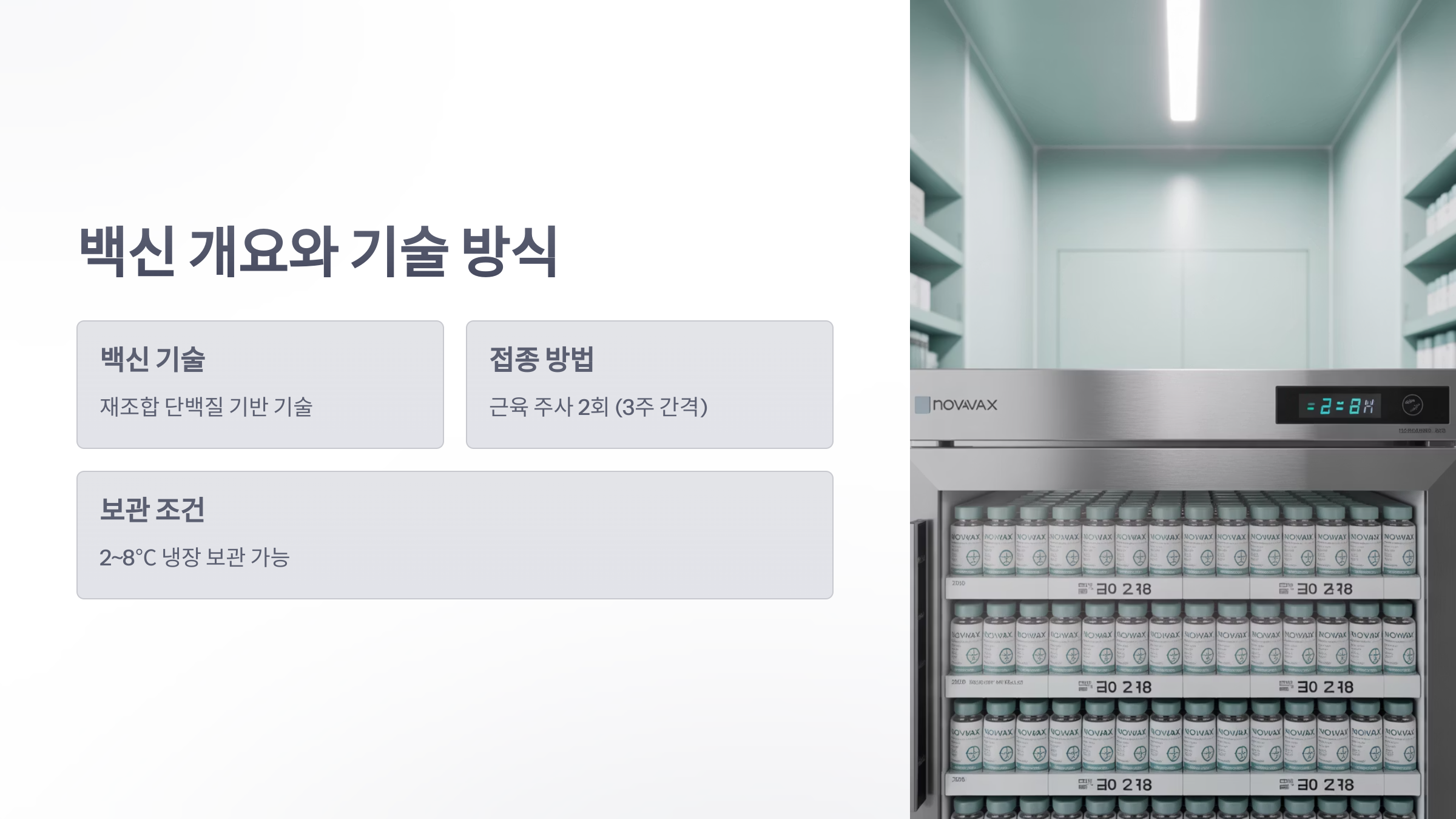 참조-노바백스-코로나-백신-2
