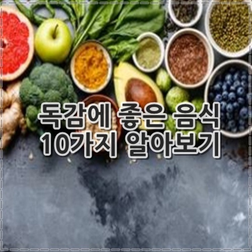 독감에 좋은 음식 10가지 정리