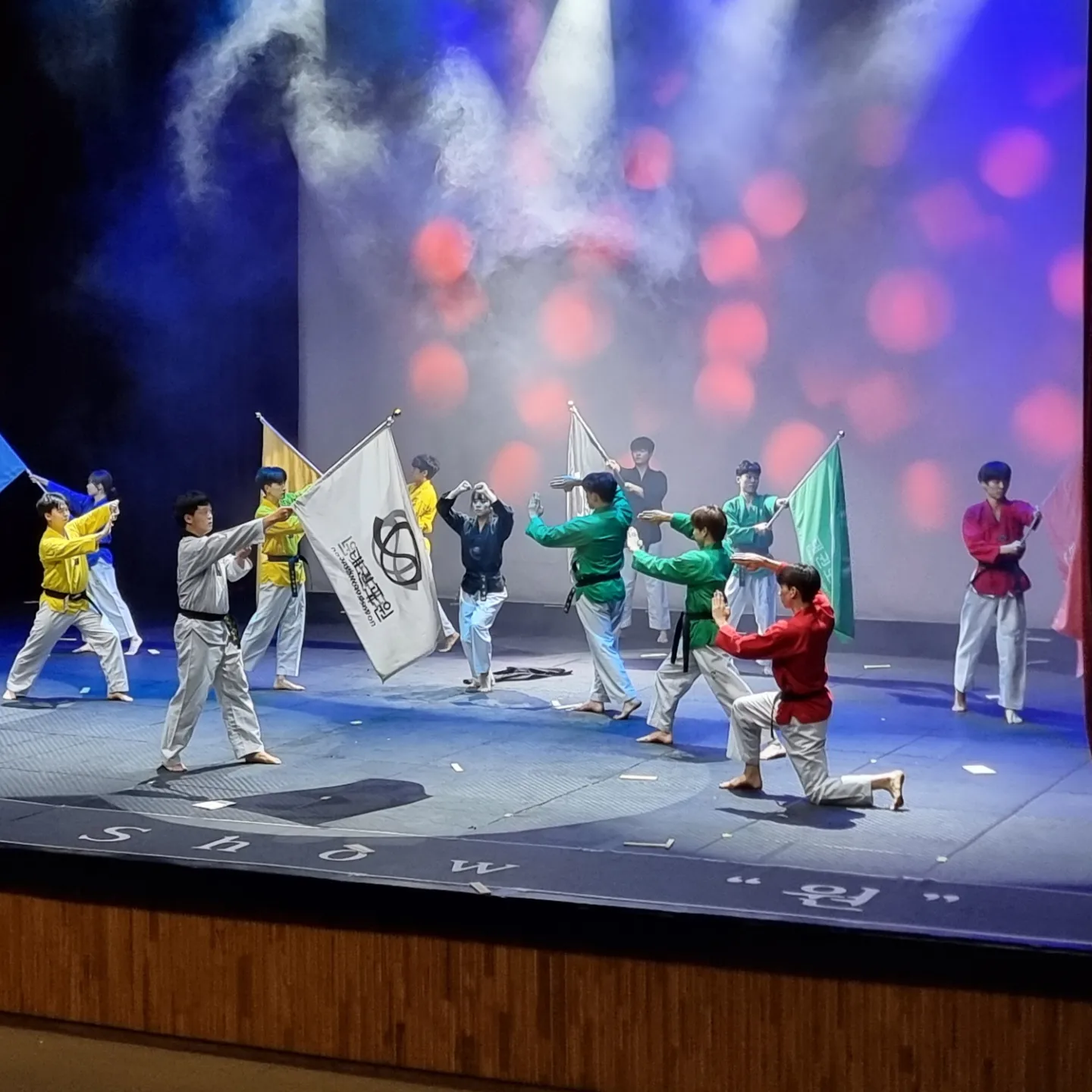 태권도원 공연사진