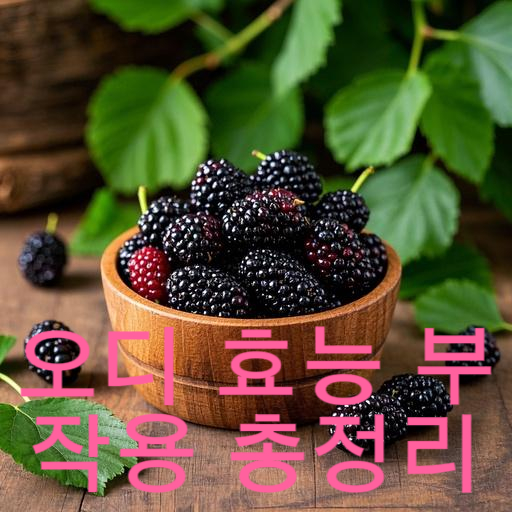 오디 효능 부작용 총정리