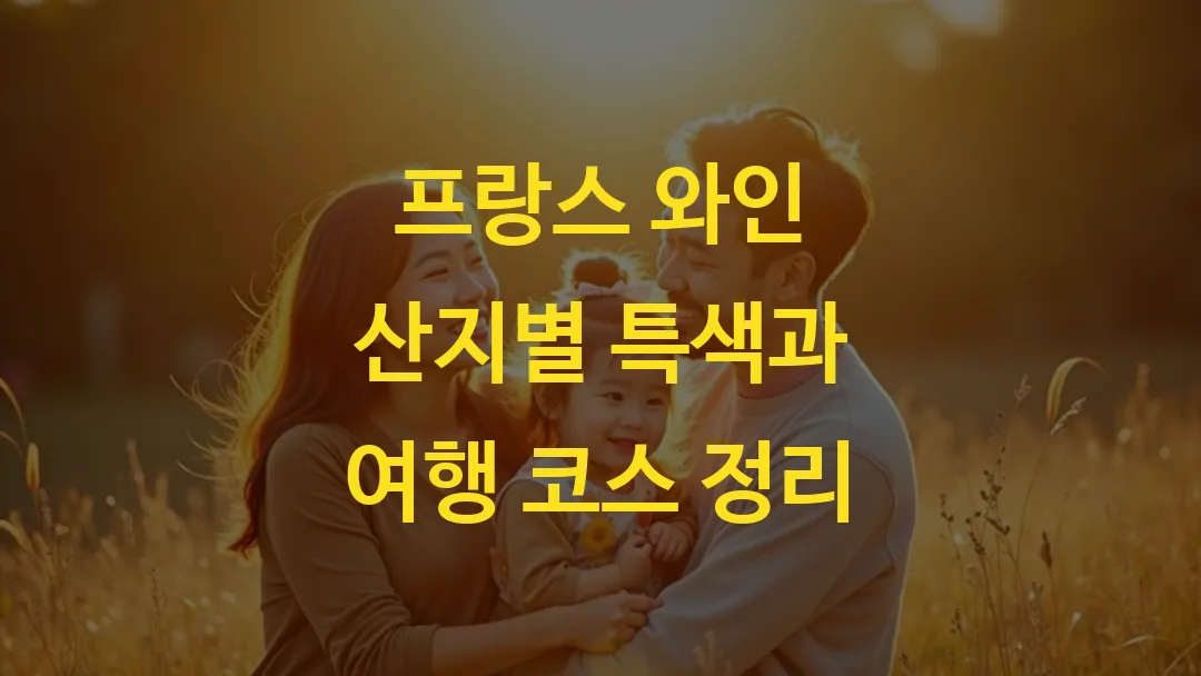 프랑스 와인 산지별 특색과 여행 코스 정리