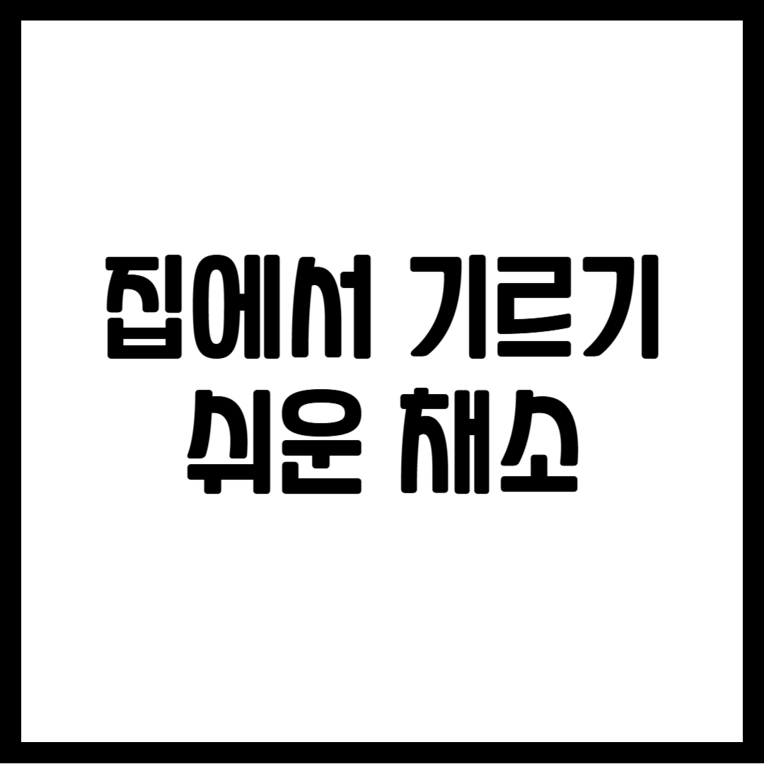 집에서 기르기 쉬운 채소