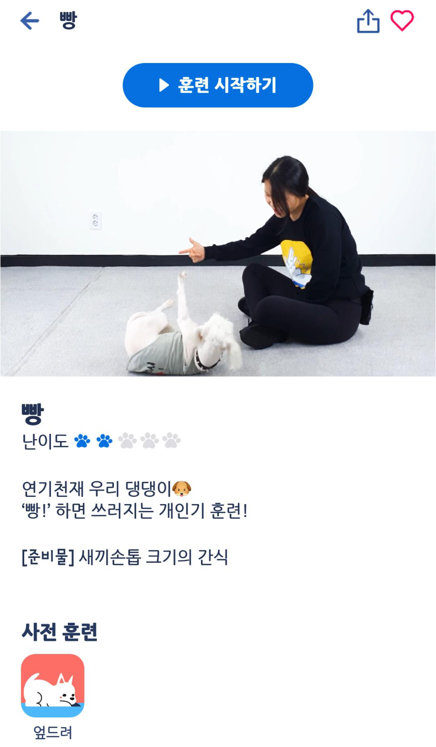 도그마스터 빵 훈련 동영상 교육 화면