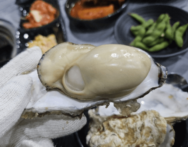 생생정보통 홍게무한리필 굴찜무한리필 가격파괴why