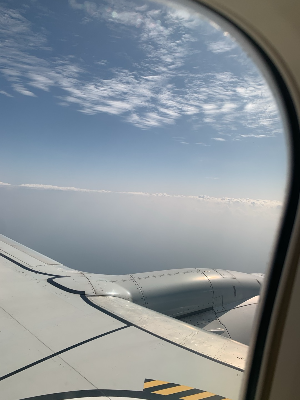 2025 전라도 청년 지원금 총정리