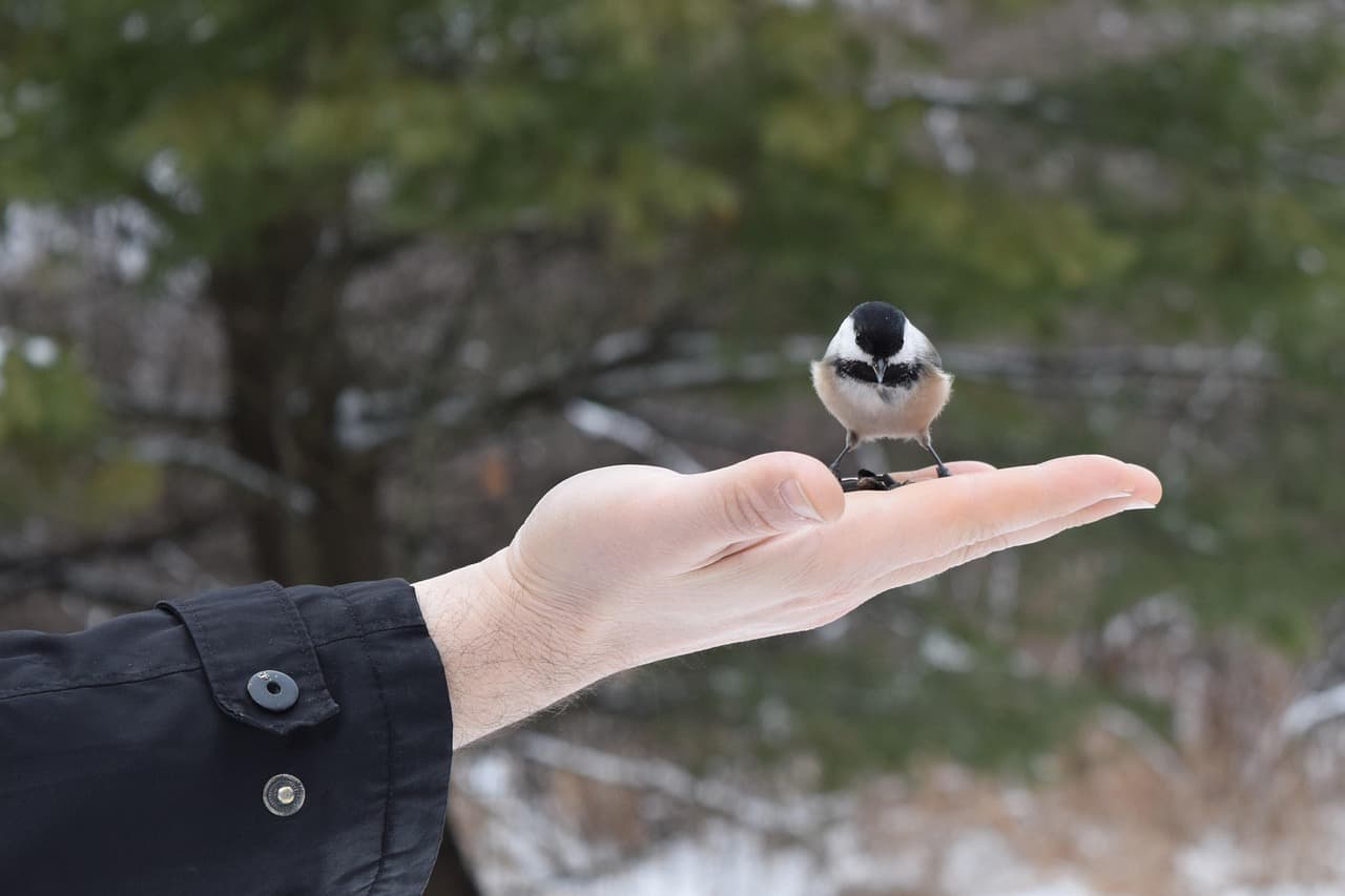 뇌졸중 환자 기록 ㉑-- <서울재활병원 퇴원>
