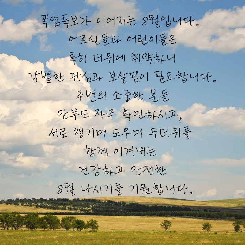 8월 인사말 문구 이미지 모음집 안부글
