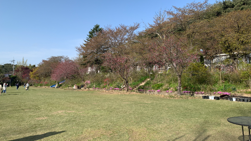 당진 아미미술관 운동장