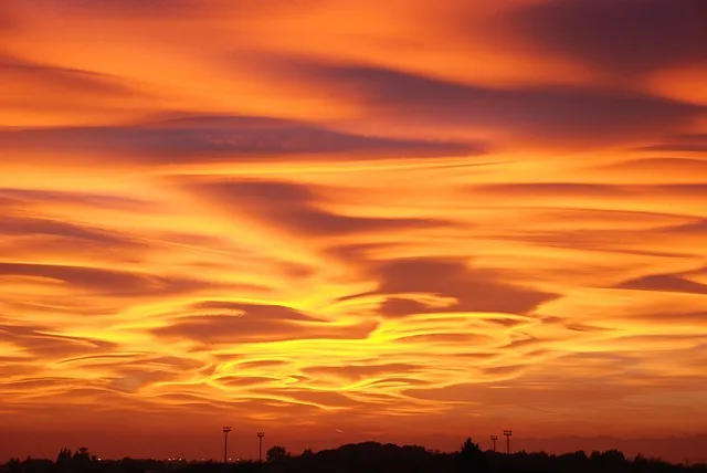 사회복지사 2급