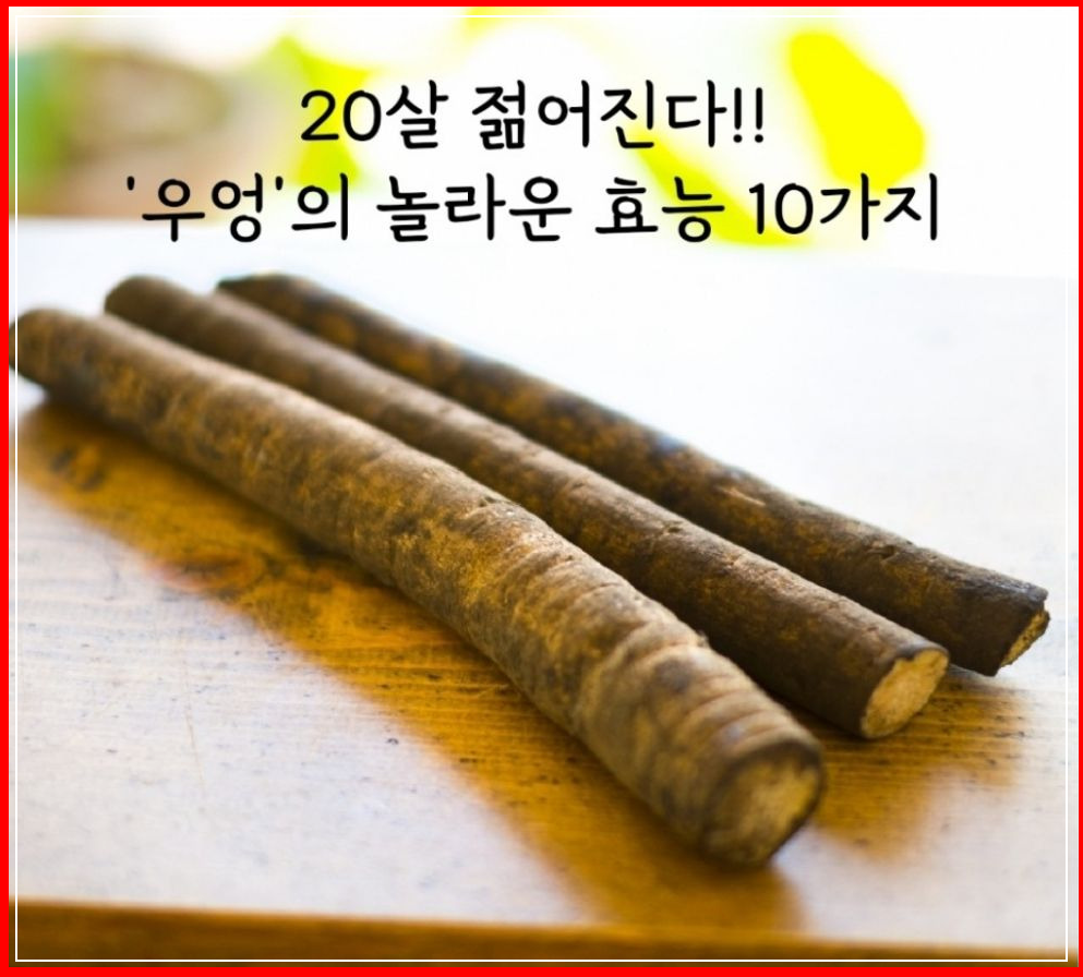 우엉 효능