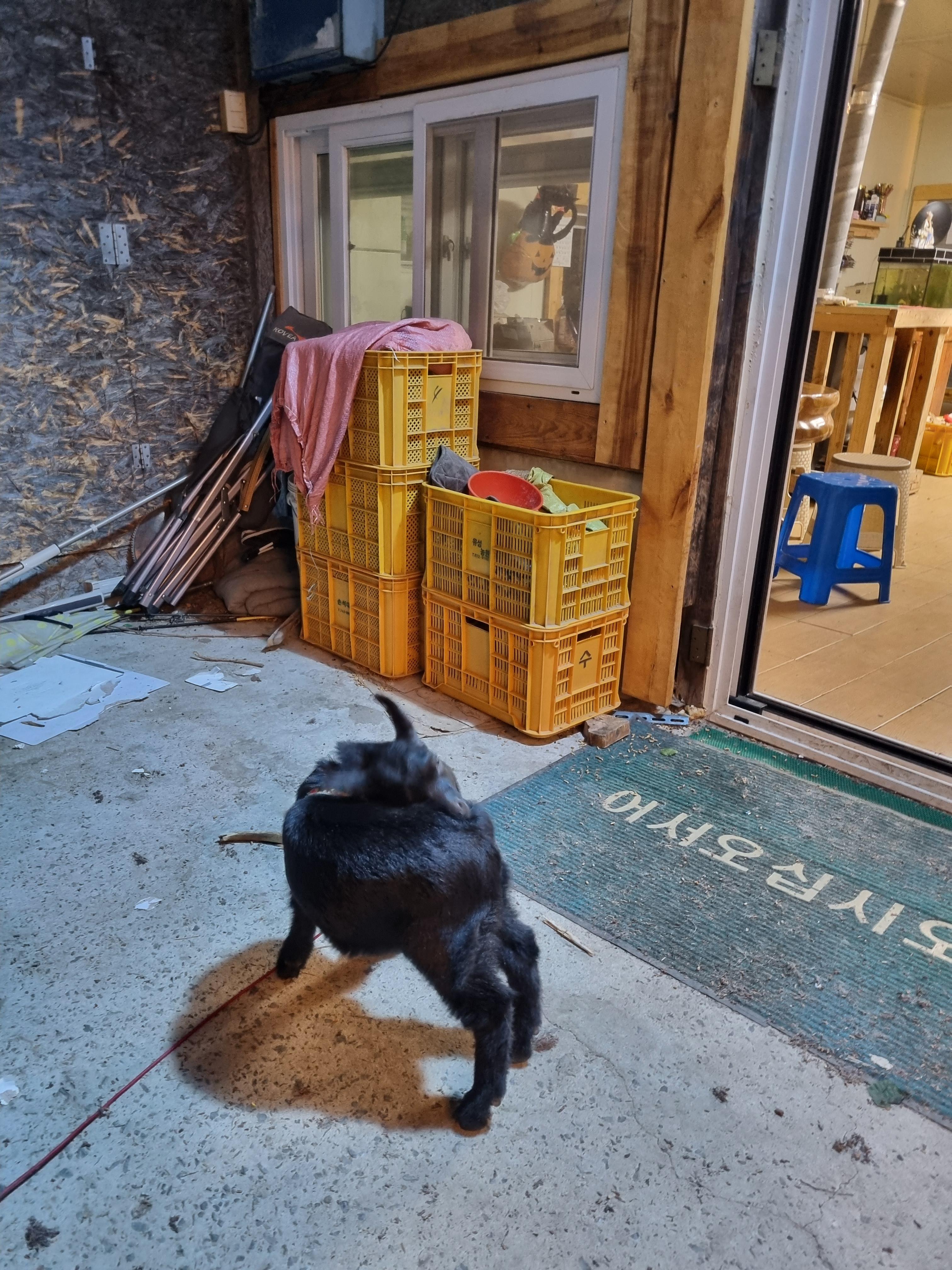 밀양 테마캠핑장