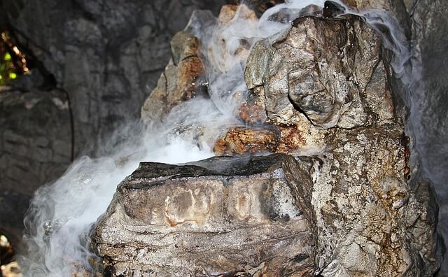 구아노(박쥐 분변)가 만드는 작은 우주: 동굴의 생태학과 영양 순환