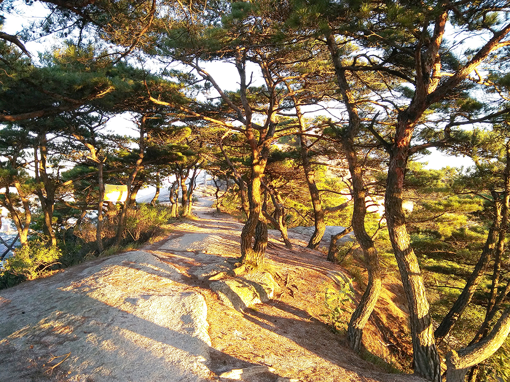 햇살이 아름다운 인왕산(Inwangsan Mountain)